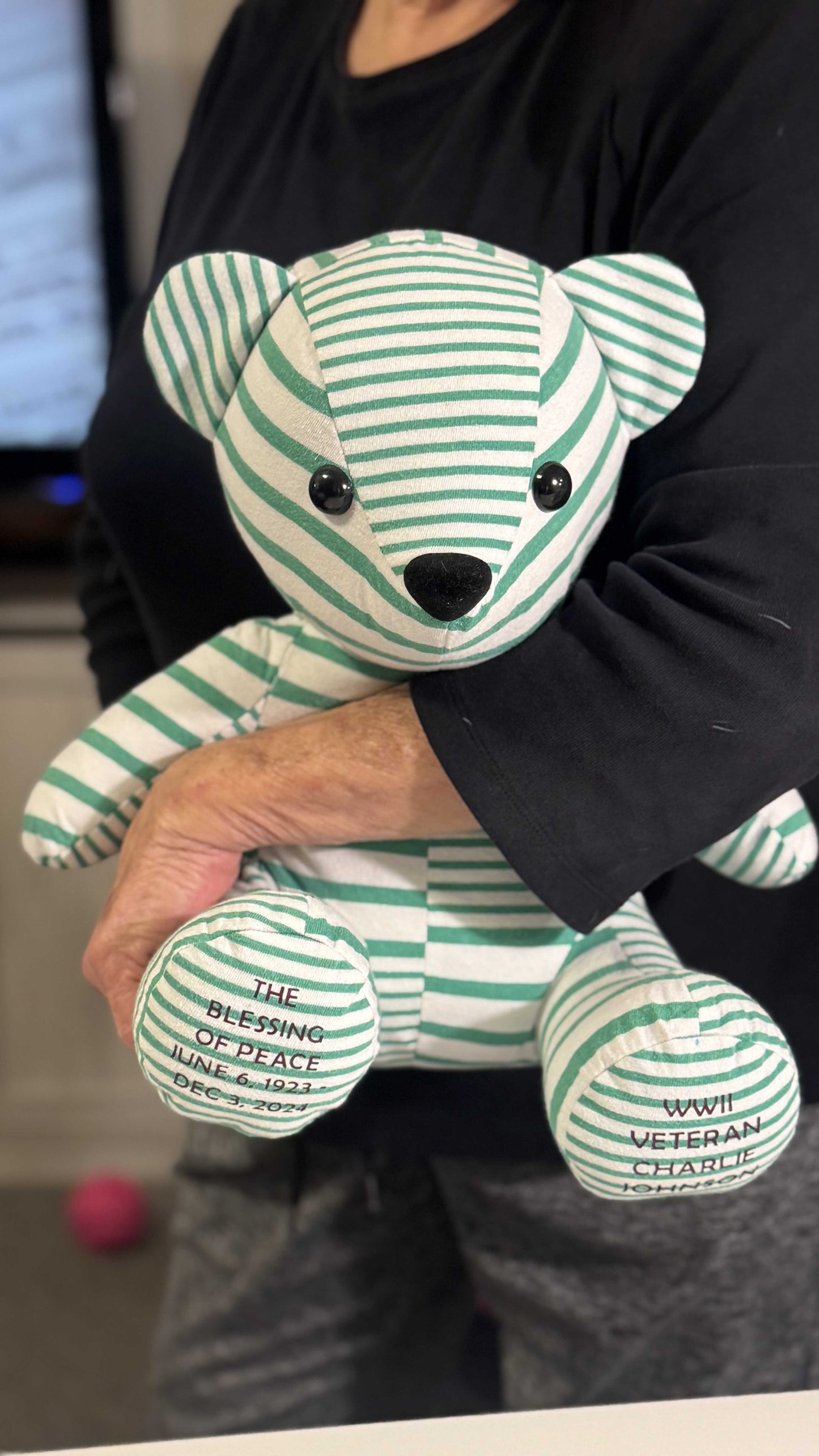 Memory Teddy Bear