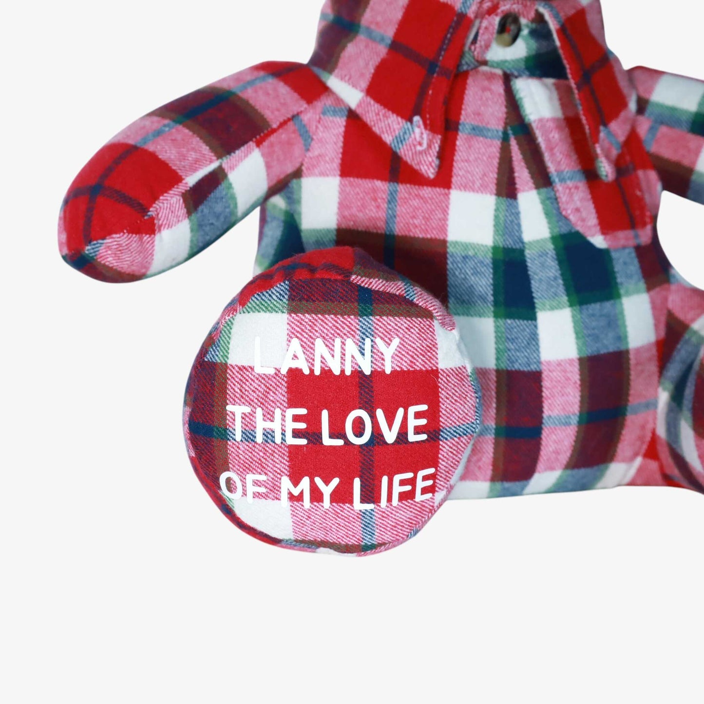 Memory Teddy Bear